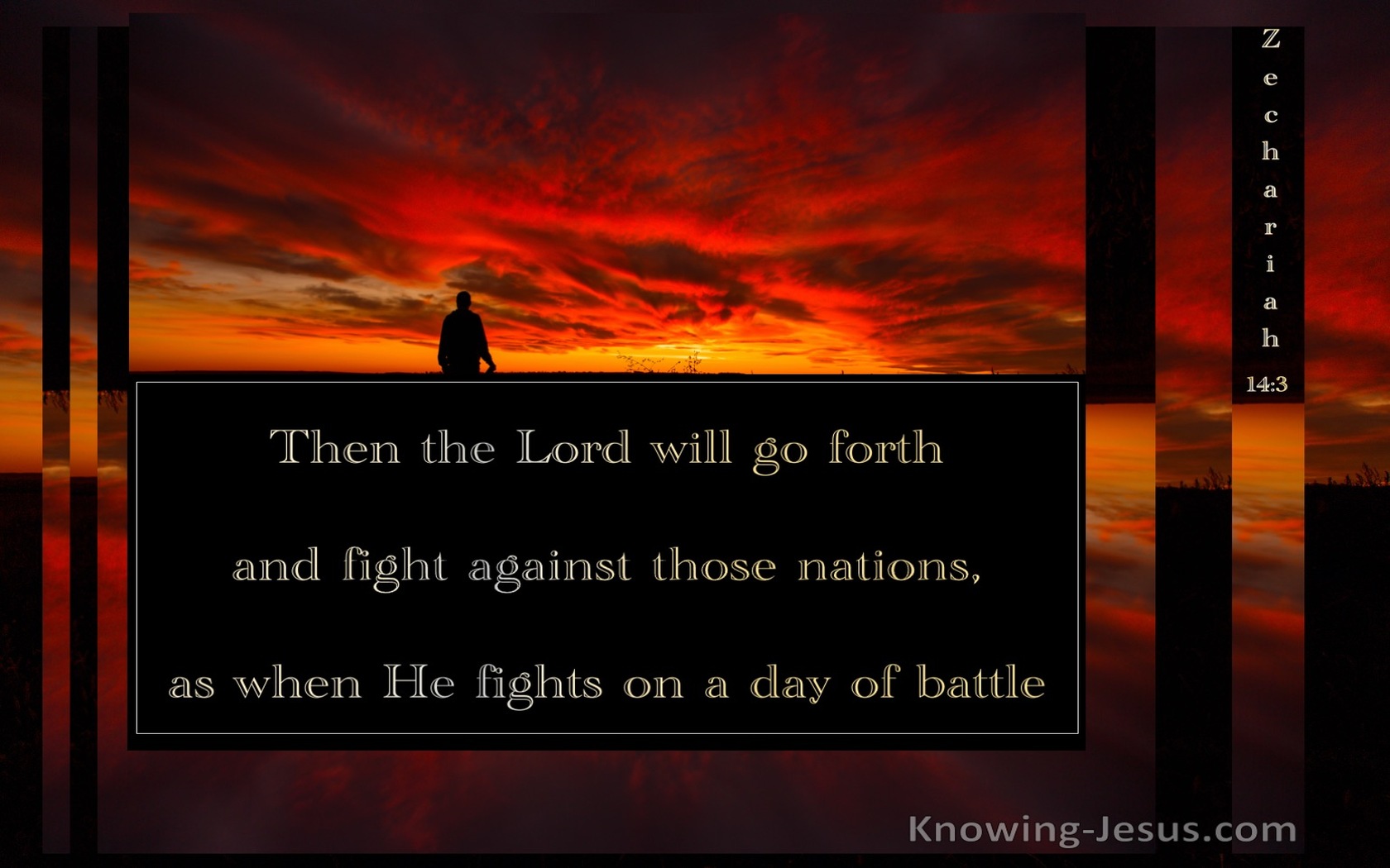 Zechariah 14:3 Then The Lord Will Go Forth And Fight (orange)